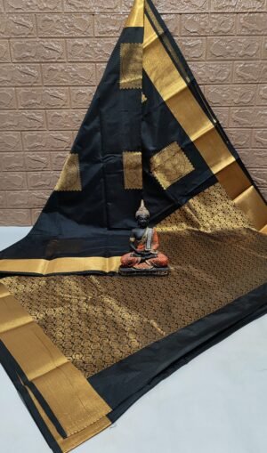 Vastrakala Black Velvet Zari Saree