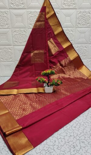 Vastrakala Rani Glow Zari Border